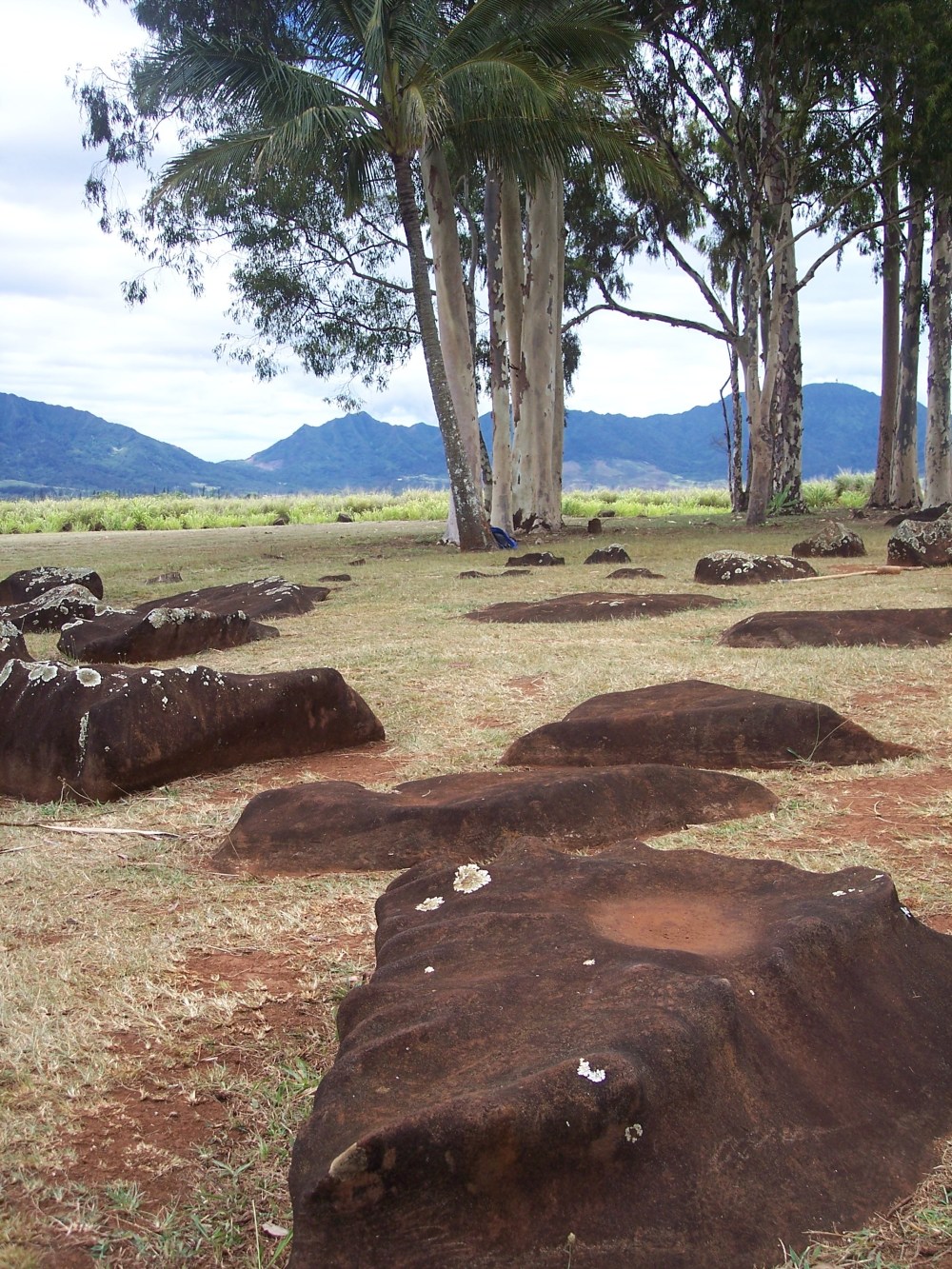 kukaniloko july 15 2010 021